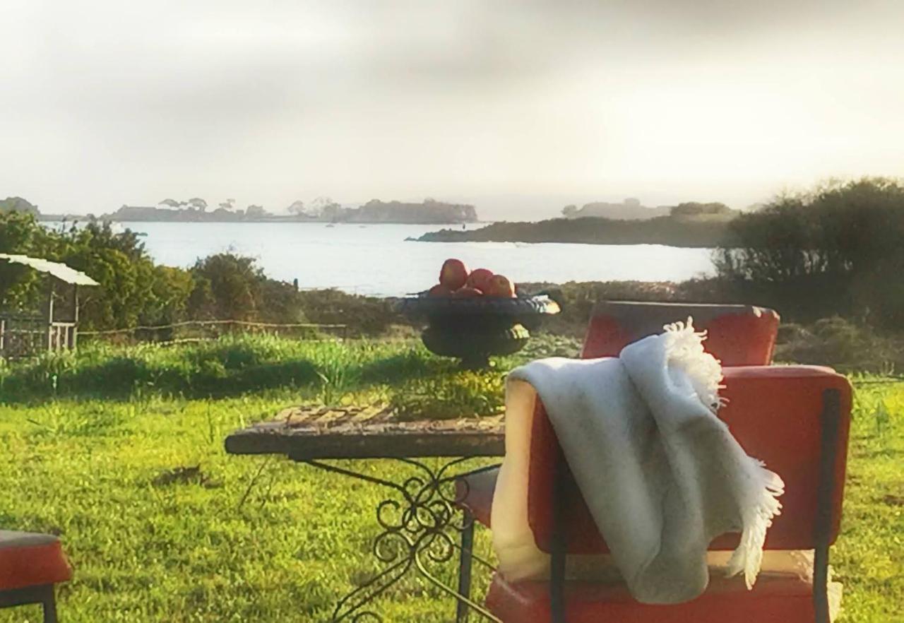 Le Petit Gite Cosy De Kerigou Avec Vue Mer Et Plage Saint-Pol-de-Léon المظهر الخارجي الصورة